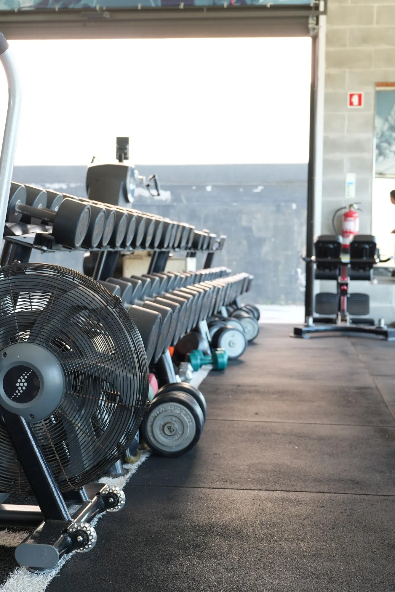 Dino’s training room with bicycles, dumbbells and natural light